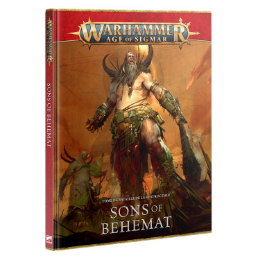 Boite de Age of Sigmar : Tome de Bataille de la Destruction - Sons of Behemat