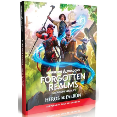 Boite de Dungeons & Dragons - Forgotten Realms : Héros de Faerûn - Occasion