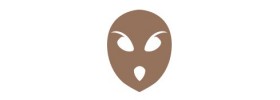 The Court of Owls
