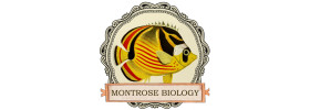 Montrose Biology